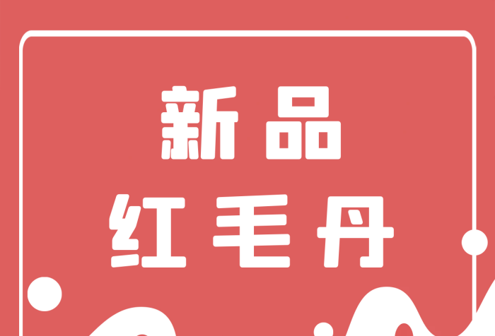 春季紅毛丹水果上新促銷小清新海報