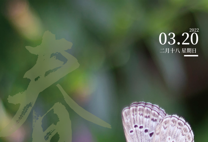 二十四節(jié)氣春分白蝴蝶節(jié)氣簡約海報