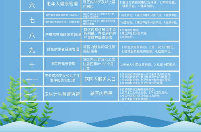 簡約藍(lán)色國家基本公共衛(wèi)生服務(wù)項目宣傳海報