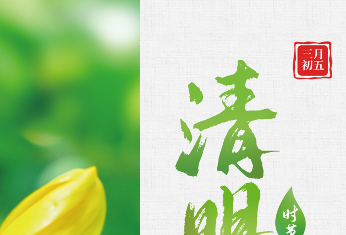 二十四節(jié)氣清明節(jié)花骨朵簡(jiǎn)約海報(bào)