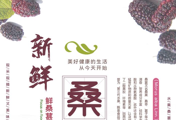 桑葚水果促銷美食宣傳海報(bào)