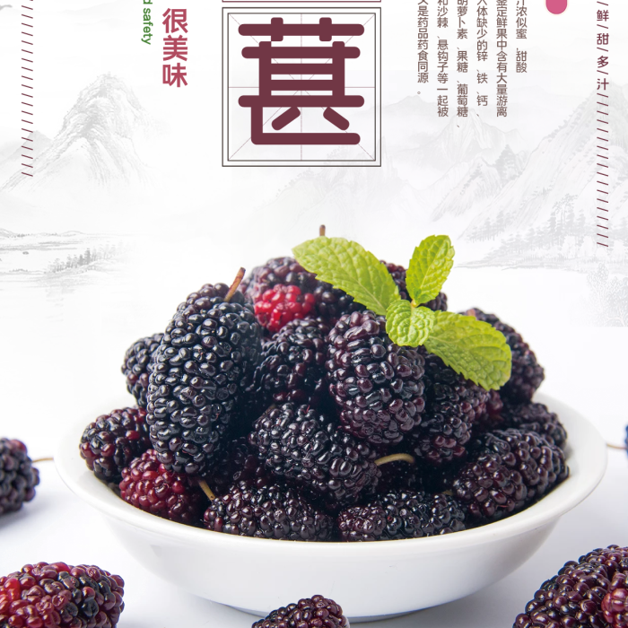桑葚水果促銷美食宣傳海報(bào)