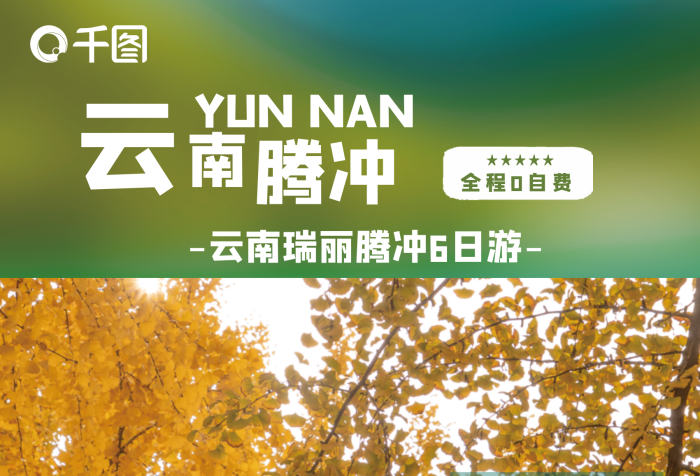 云南騰沖旅游賞銀杏