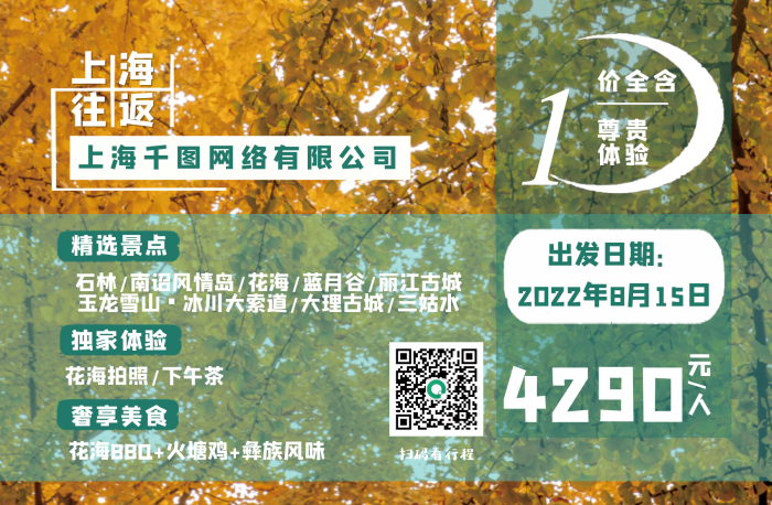 云南騰沖旅游賞銀杏