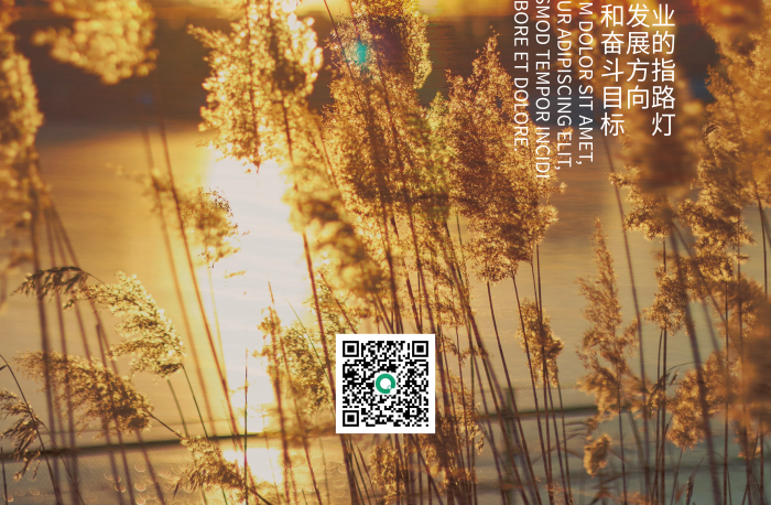 勵(lì)志企業(yè)文化發(fā)展方向目標(biāo)實(shí)拍激勵(lì)海報(bào)