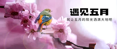 遇见五月你好花鸟阳光公众号封面