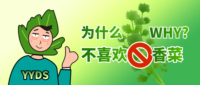 趣味插畫你為什么不喜歡香菜熱點公眾號封面