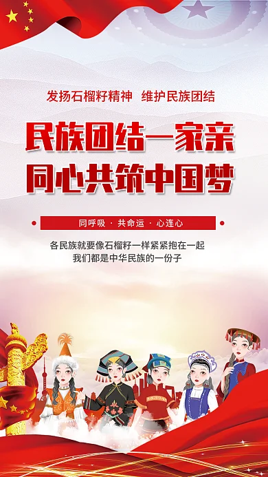民族团结石榴籽精神党建海报