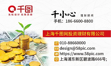 简约大气金融投资理财销售顾问经理商务名片