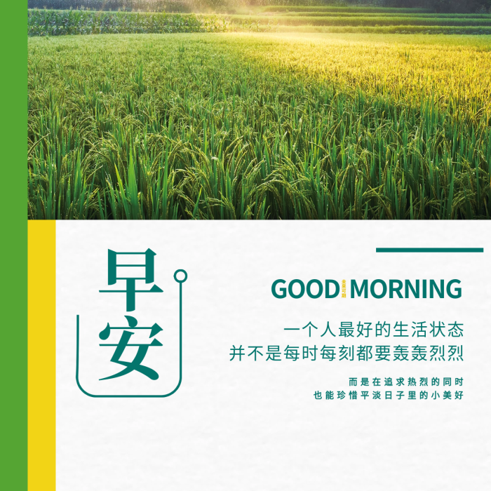 追求美好生活狀態(tài)田野風(fēng)光早安海報