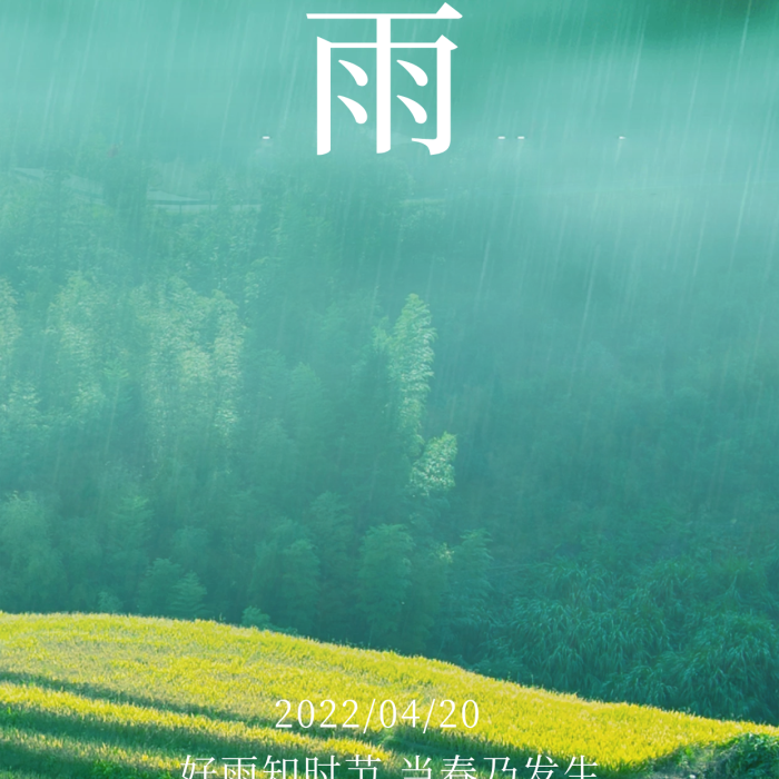 谷雨霧氣手機營銷海報