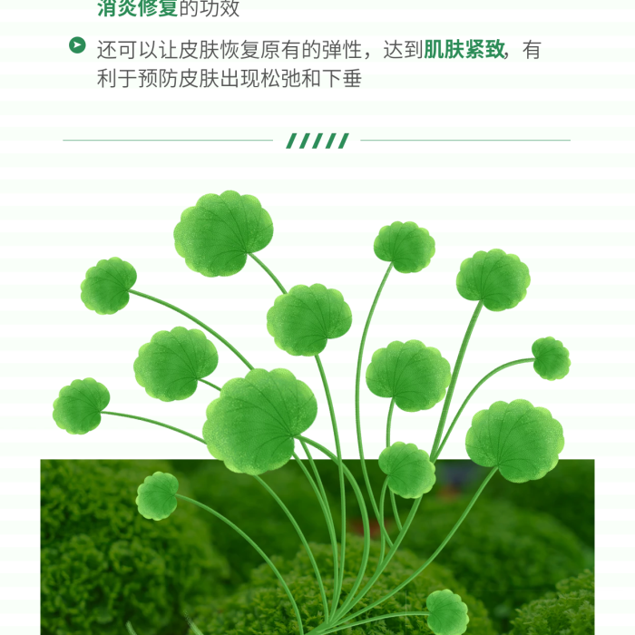 美容產(chǎn)品成分詳情宣傳手機(jī)長圖海報