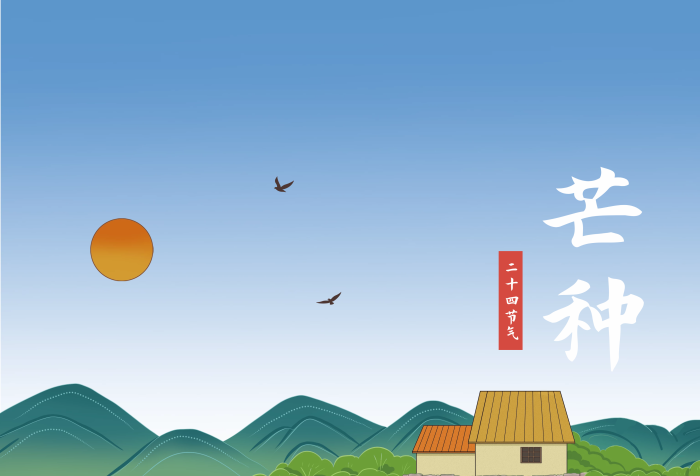 節(jié)氣芒種農(nóng)田稻田稻草人麥田手繪插畫(huà)