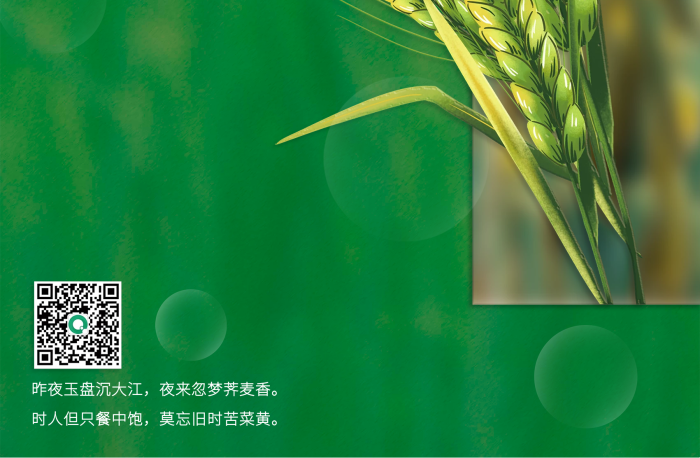 創(chuàng)意稻穗LOGO節(jié)氣海報