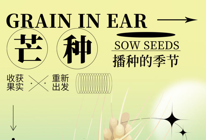 簡約彌散二十四節(jié)氣播種的季節(jié)物芒節(jié)氣種海報