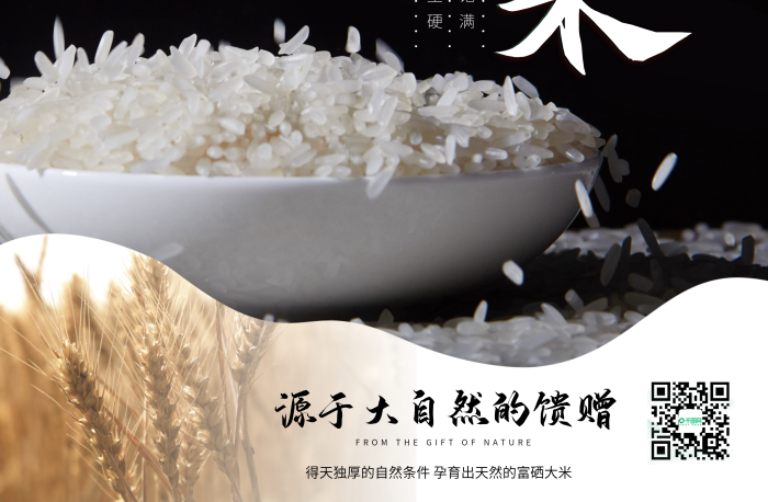 粒粒飽滿顆粒飽滿質(zhì)地堅(jiān)硬硒大米海報(bào)