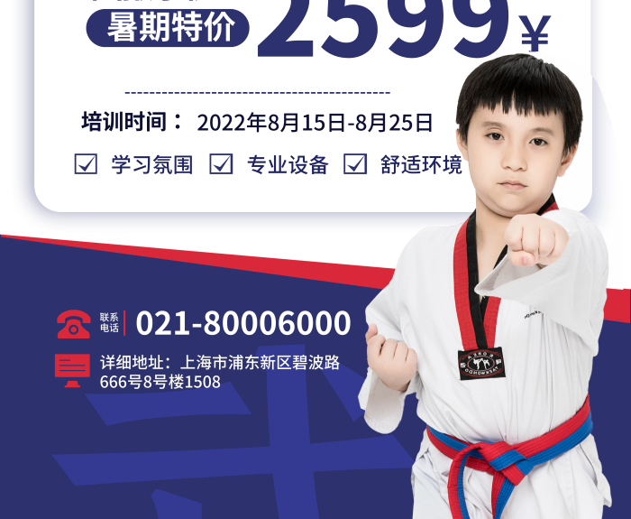 简约风武术培训招生中武术培训学校招生宣传展架