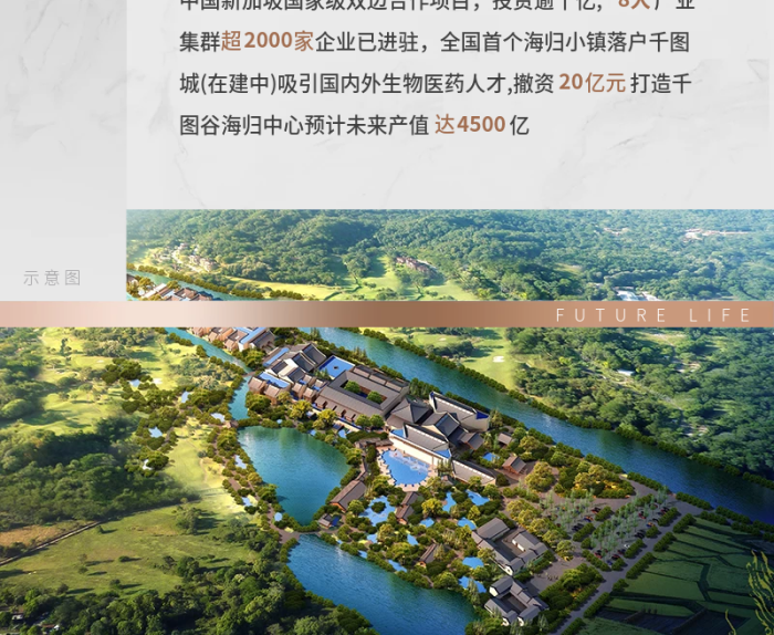 地產(chǎn)熱銷大宅風(fēng)范火熱銷售中簡約風(fēng)信息長圖