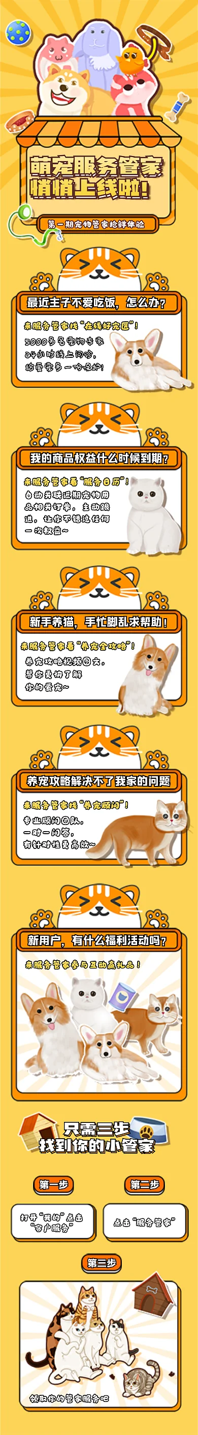 卡通风悄悄上线啦品相关订单生活服务宣传讲解长海报