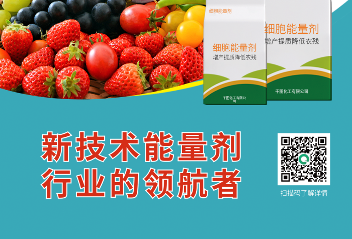 農作物營養(yǎng)細胞能量劑雙面宣傳單頁簡約農業(yè)