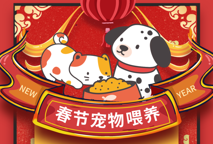 春節(jié)寵物YEAR用的放心喂養(yǎng)寵物便利服務(wù)宣傳促銷