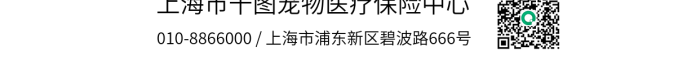 寵物保險(xiǎn)覆蓋夠廣保障夠全促銷海報(bào)