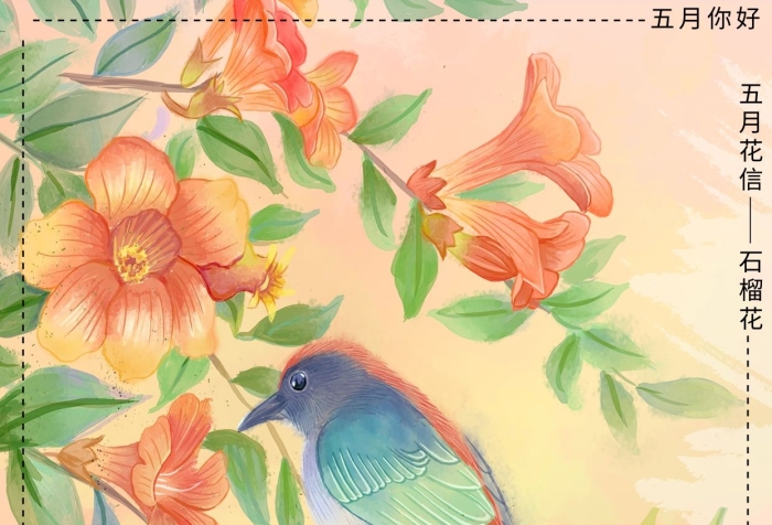 五月花信風(fēng)十二花信之五月石榴花海報(bào)
