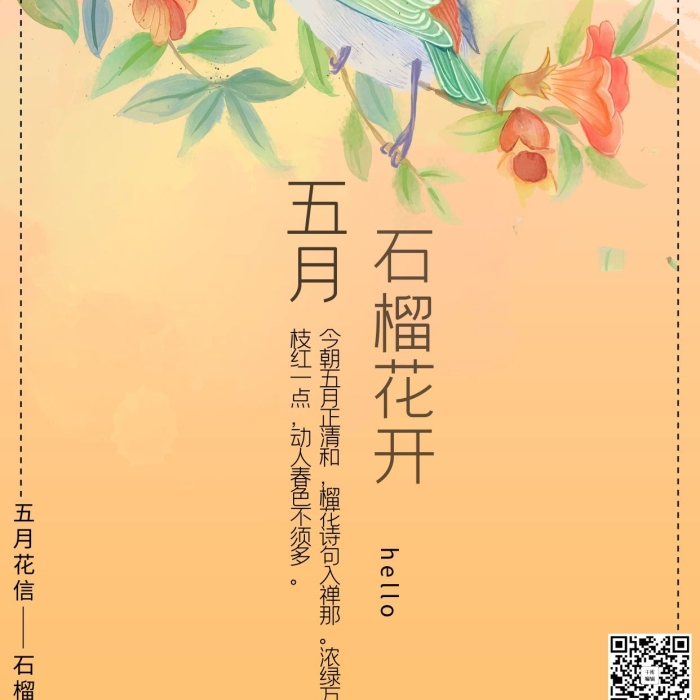 五月花信風(fēng)十二花信之五月石榴花海報(bào)
