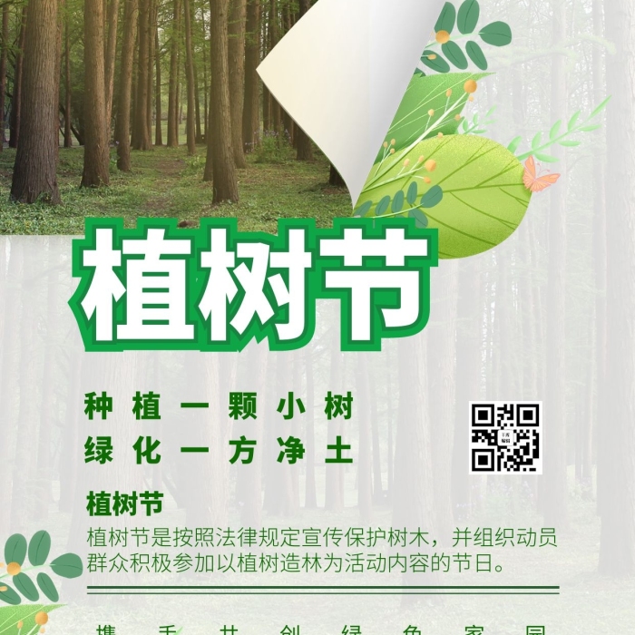 植树活动简约海报植树节312

