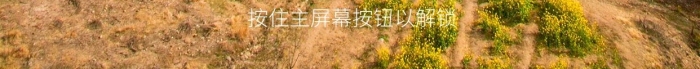 屏幕按鈕林芝桃花林手機壁紙
