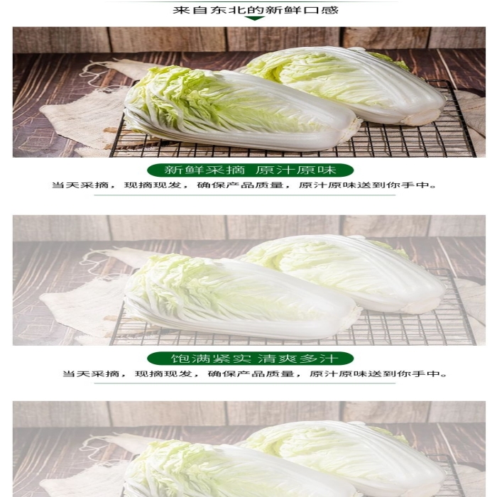 新鮮采摘白菜綠色簡(jiǎn)約電商詳情頁
