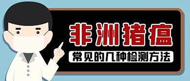 非洲猪瘟黑色简约公众号首图