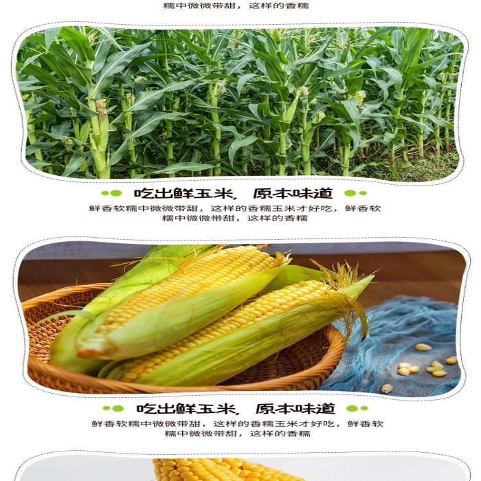 晶瑩剔透綠色清新風(fēng)電商詳情頁
