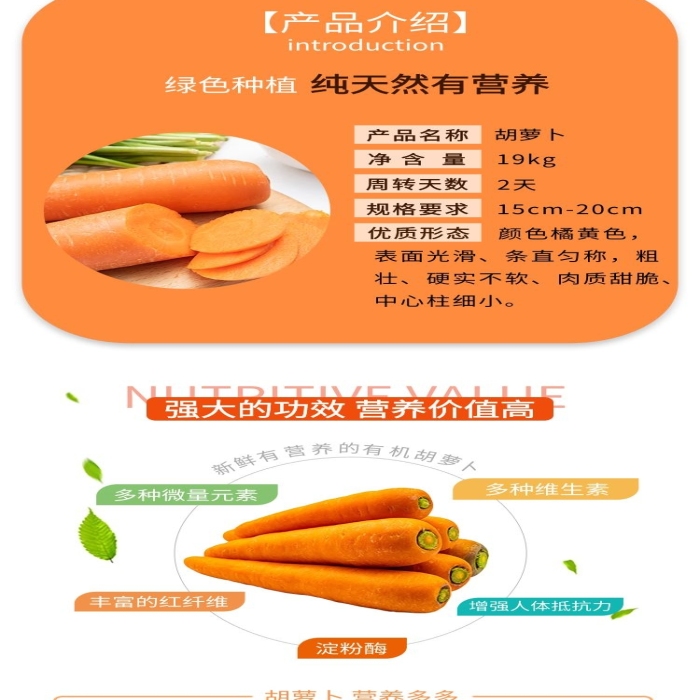 新鮮甜脆胡蘿卜橘色簡約風(fēng)電商詳情頁
