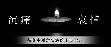 沉痛哀悼杂交水稻之父袁院士黑色简约公众号首图