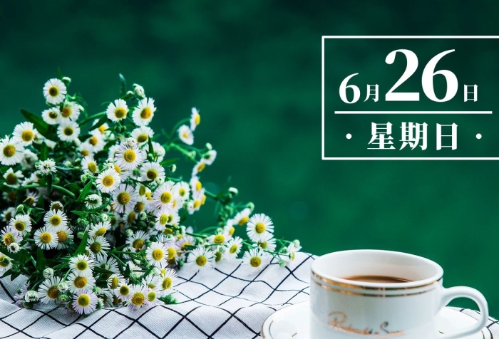 愛生活愛一切問(wèn)候綠色簡(jiǎn)約手機(jī)海報(bào)
