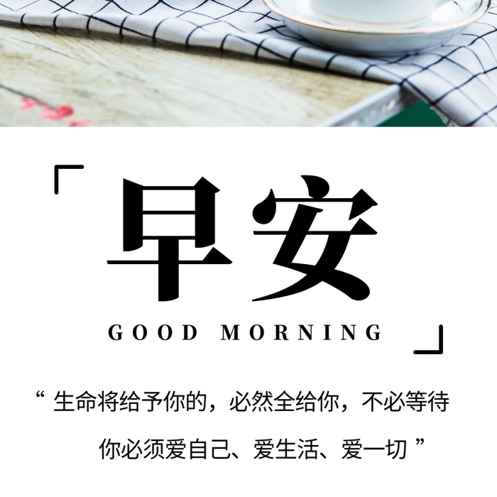 愛生活愛一切問(wèn)候綠色簡(jiǎn)約手機(jī)海報(bào)
