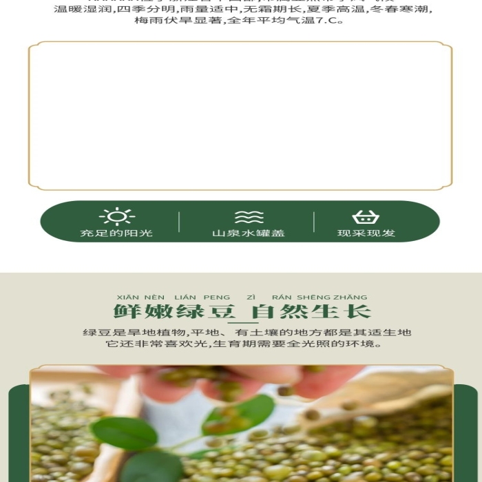 禮盒旱地綠豆綠色中國(guó)風(fēng)電商詳情頁(yè)
