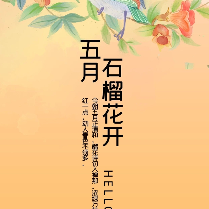 花鳥畫花信之五月石榴花手機海報
