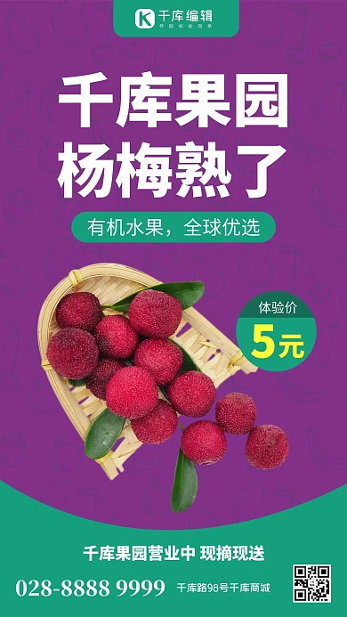 水果 杨梅 生鲜 促销 有机水果