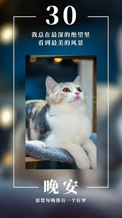 晚安问候猫咪灯光深蓝色渐变手机海报