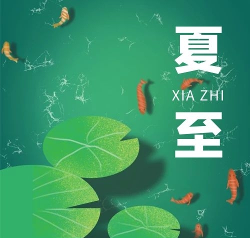 圖方圖大暑荷葉魚綠色手繪公眾號次圖

