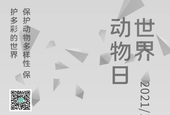 幾何抽象日淺色系風(fēng)格保護動物海報
