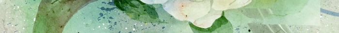 捌月傳統(tǒng)風(fēng)格花鳥畫插畫海報(bào)
