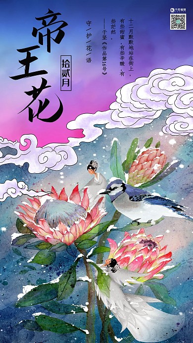 十二月花信之十二月帝王花傳統(tǒng)中式風(fēng)格花鳥(niǎo)畫插畫海報(bào)