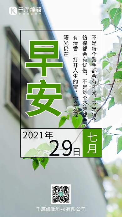 早安白色三角梅白色文艺手机海报