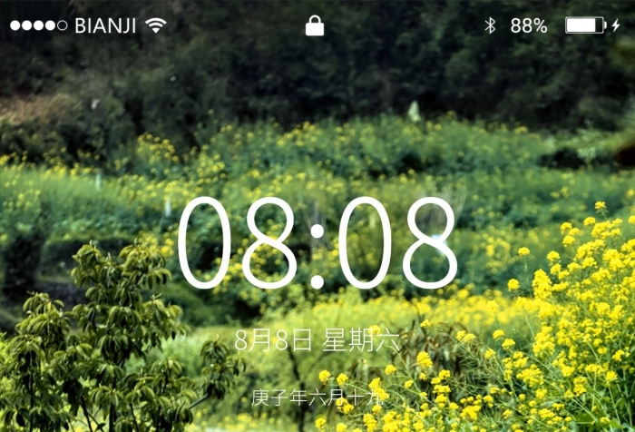 屏幕按鈕油菜花道路和樹木攝影圖
