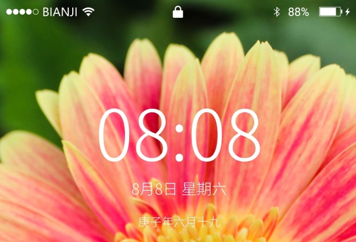 屏幕按鈕粉黃色非洲菊一朵
