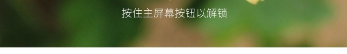 屏幕按鈕粉黃色非洲菊一朵
