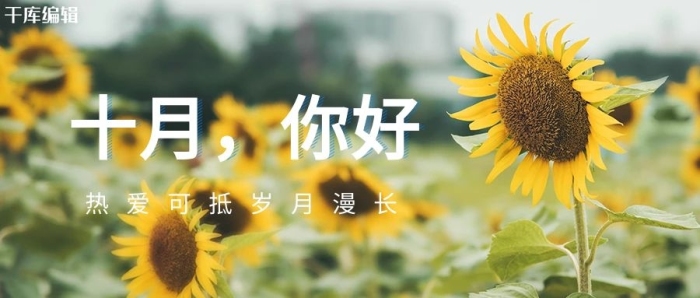 問候風日向日葵黃色清新實景風
